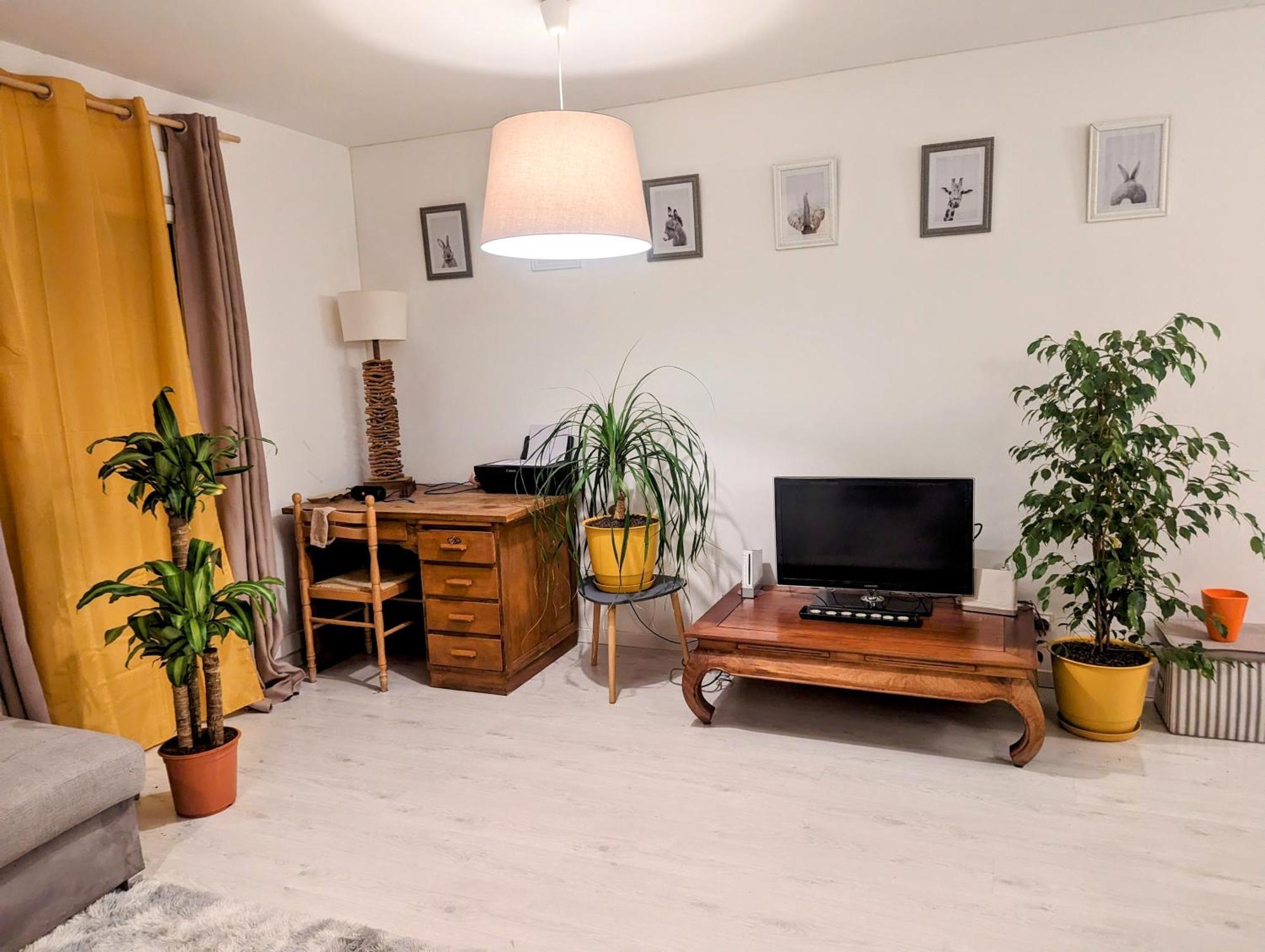 Appartement Cocooning 페르피냥 외부 사진